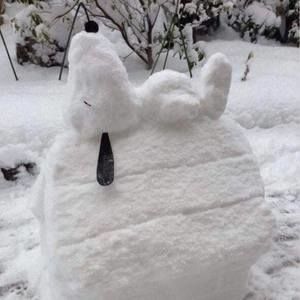 Meet your Posher, Molly